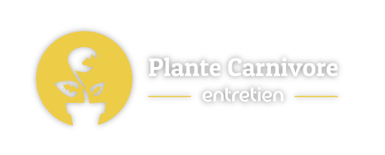 logo plante carnivore entretien