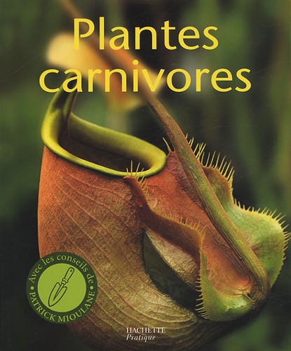 Plantes carnivores : Découvrez le monde fascinant des “ogres verts”